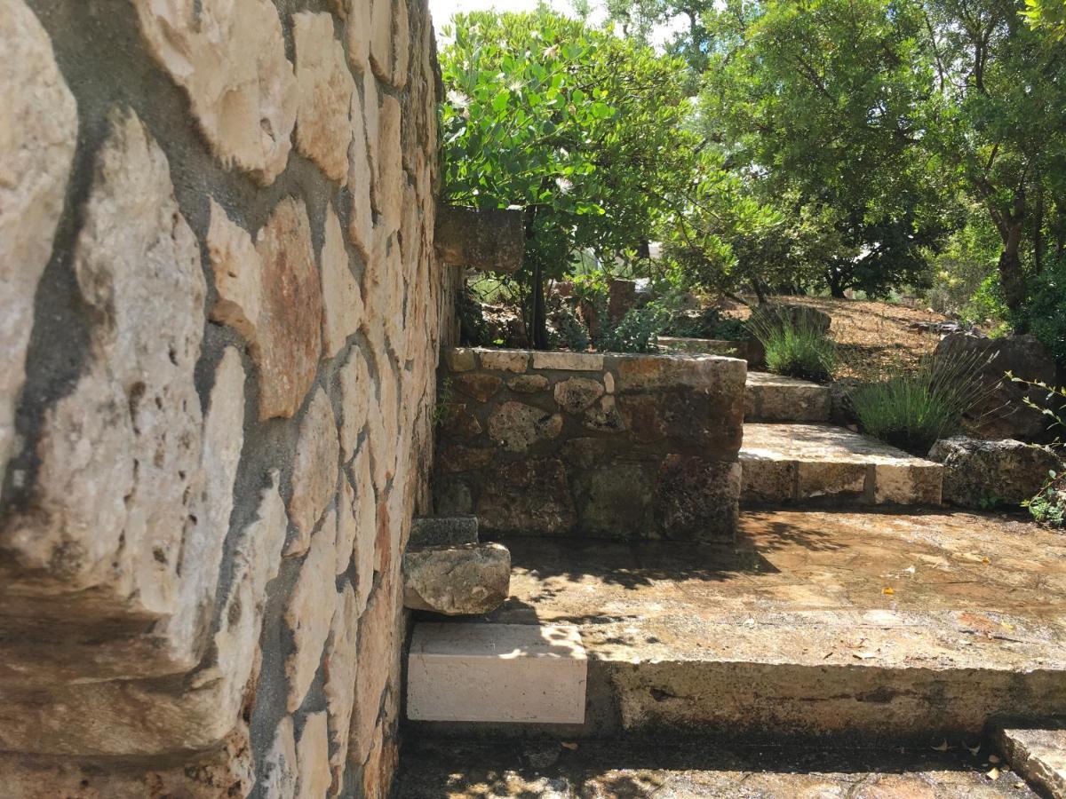 مبيت وإفطار لوكوروتوندو Casa Zucchetta المظهر الخارجي الصورة