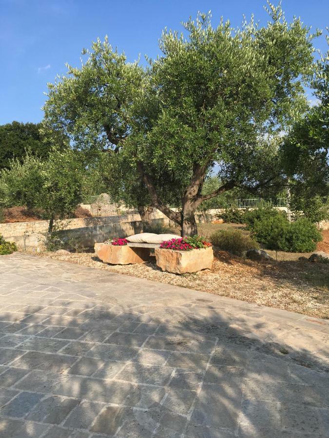 مبيت وإفطار لوكوروتوندو Casa Zucchetta المظهر الخارجي الصورة